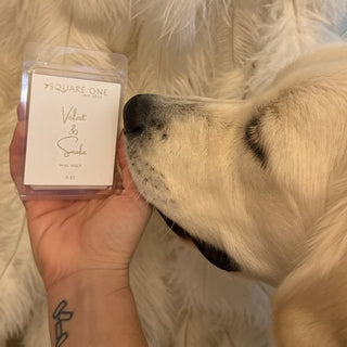 Velvet & Smoke Wax Melt, 2 oz - Love Square One