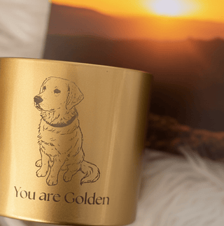 You Are Golden Peppercorn & Citrus Candle, 9 oz - Love Square One
